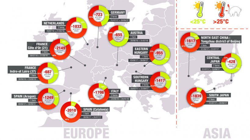 Heat stress in swine risks survey in farrowing rooms in Europe and Asia. Average daily percentage of time spent above 25&deg;C (significant heat stress) and estimation of the associated feed intake reduction (Lallemand Animal Nutrition internal data, 2016-2018).
