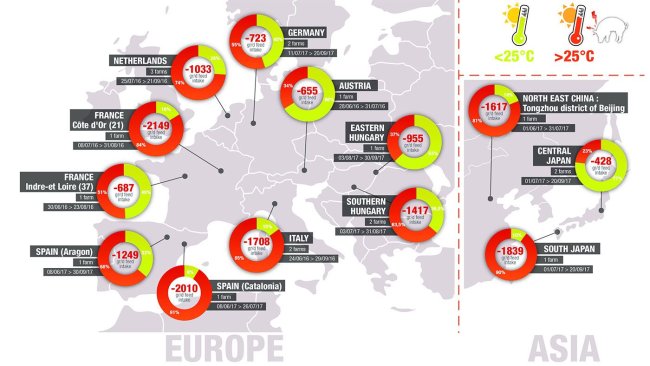 Heat stress in swine risks survey in farrowing rooms in Europe and Asia. Average daily percentage of time spent above 25°C (significant heat stress) and estimation of the associated feed intake reduction (Lallemand Animal Nutrition internal data, 2016-2018).