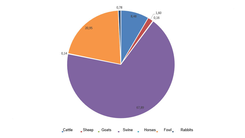 <p>Importance of the different categories within the total meat production</p>