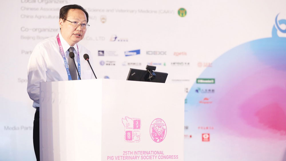 IPVS Congress 2018
