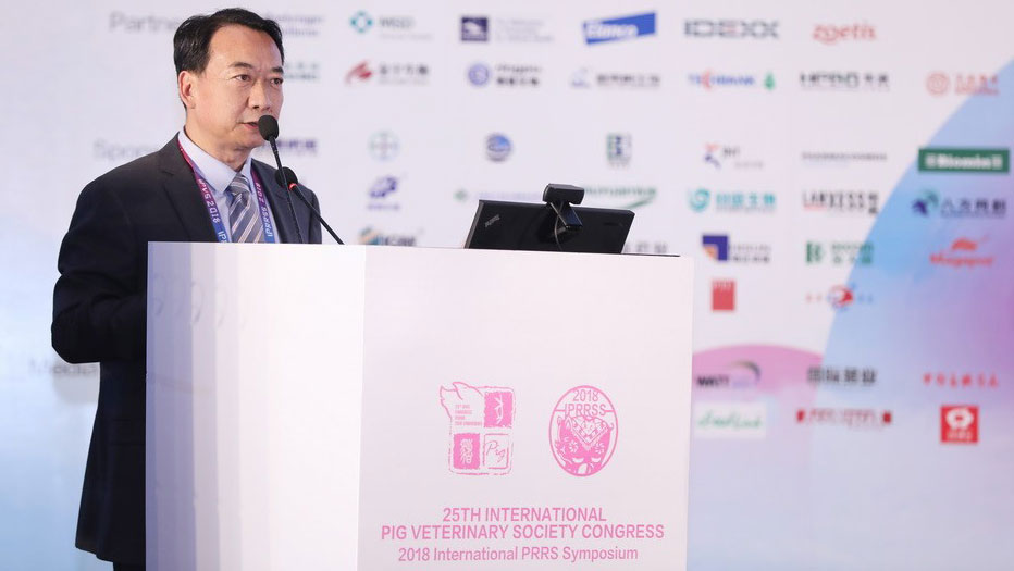 IPVS Congress 2018