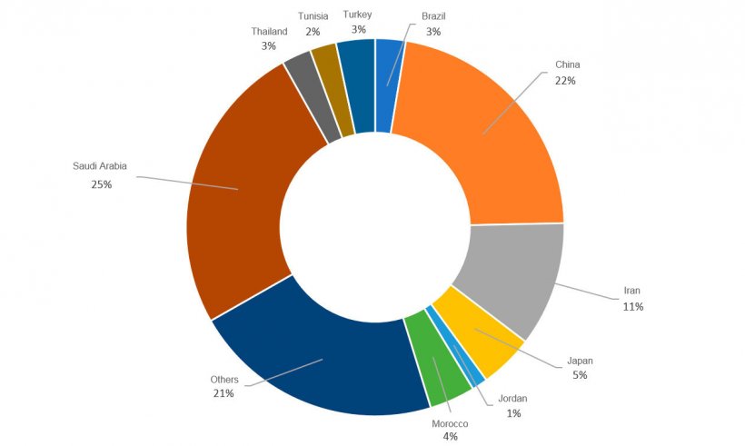 Barley as a pig feed ingredient - Articles - pig333, pig to pork community