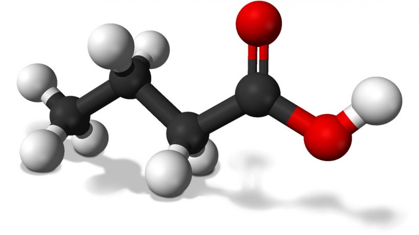 Butyric acid