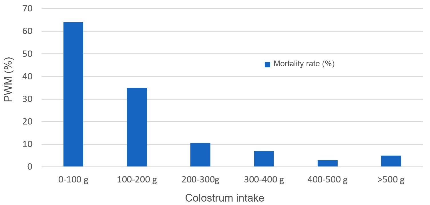 <p>Figure 1. Relationship between colostrum intake and pre-weaning mortality (PWM)</p>
