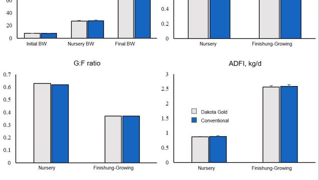 Figure 1. Growth performance of pigs fed Dakota Gold or Conventional DDGS.