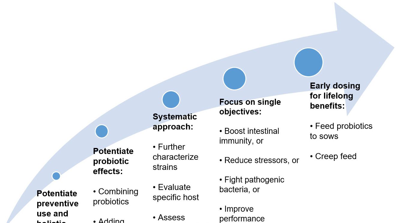 Figure 2. Strategies to improve the use of probiotics in early life stages