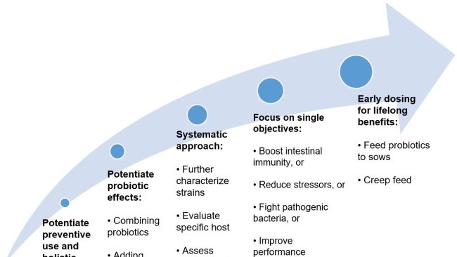 Figure 2. Strategies to improve the use of probiotics in early life stages