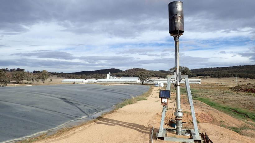 Covered anaerobic pond at a 20,000 standard pig unit grow-out piggery in New South Wales.
