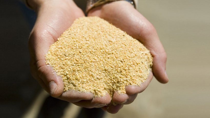 Soybean meal. United Soybean Board
