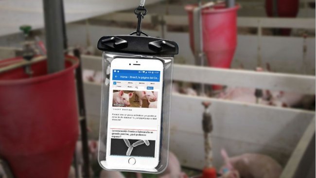 A cellphone inside a waterproof bag.