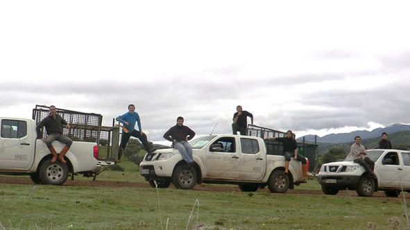 Photo 2. Captures with boxes or traps are an option in areas where boar hunting is not possible, but they are expensive and not always effective.
