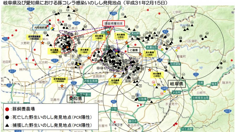 The map shows the total number of wild boars found dead or captured positive to the disease, as well as the pig farms affected (highlighted in yellow) up to February 15th, 2019.
