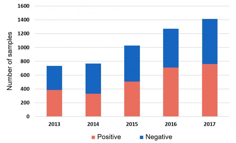 Figure 1: Detection of H. parasuis in systemic samples by PCR from cases submitted in 2013-2017. ISU database 2018.
