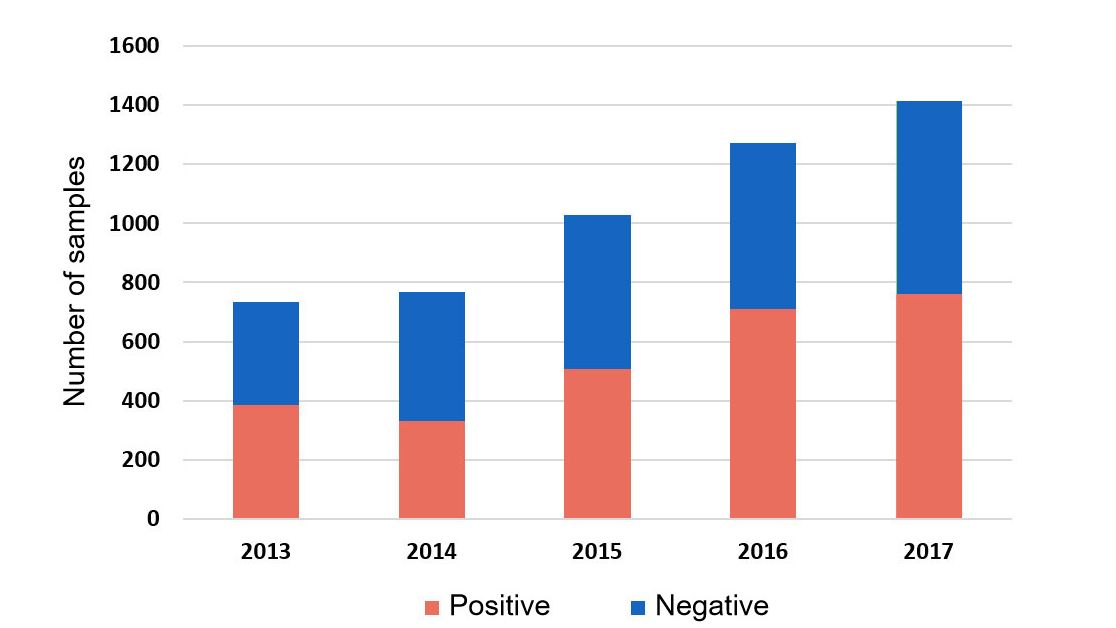 Figure 1: Detection of H. parasuis in systemic samples by PCR from cases submitted in 2013-2017. ISU database 2018.
