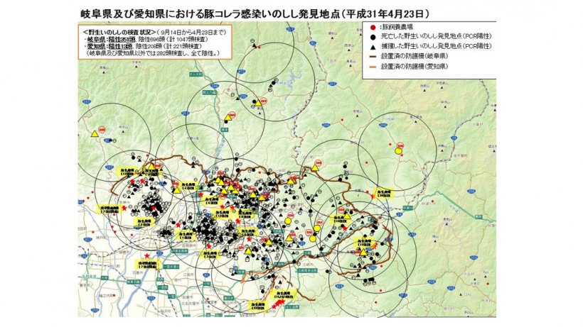 The map shows the total number of CSF-positive wild boars found dead or captured, as well as the pig farms affected (underlined in yellow), until April 23rd, 2019.
