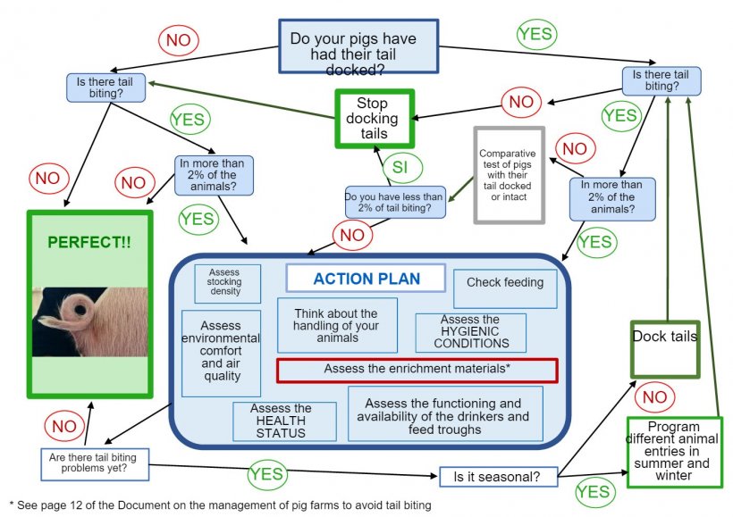 Decision-making tree on tail docking produced by ANPROGAPOR
