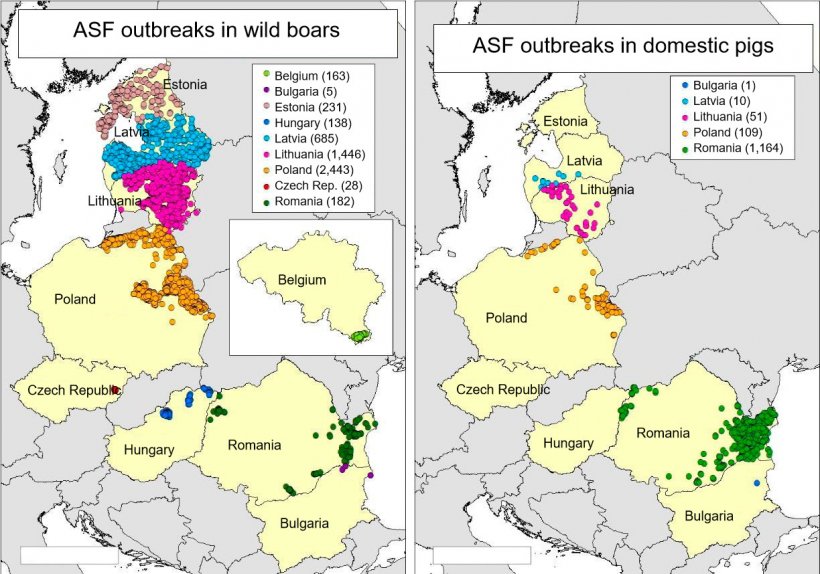 Map of the outbreaks notified in Belgium, Bulgaria, Estonia, Hungary, Latvia, Lithuania, Poland, the Czech Republic and Romania in 2018 (Source: RASVE-ADNS)
