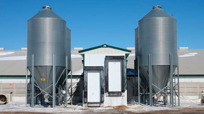 Picture 7. Enclosed loading chute, Minnesota, USA.