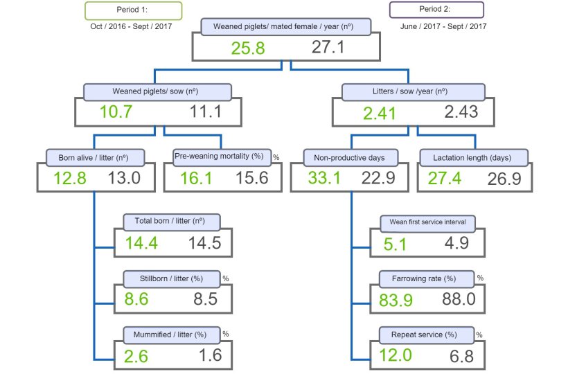 Figure&nbsp;1. Productivity tree comparing two periods of weaned pigs/mated female&nbsp;per year.
