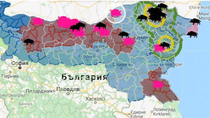 The focus, with 17,000 susceptible animals, is located near the border with Romania.
