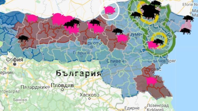 The focus, with 17,000 susceptible animals, is located near the border with Romania.