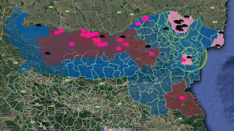 Total ASF outbreaks in Bulgaria
