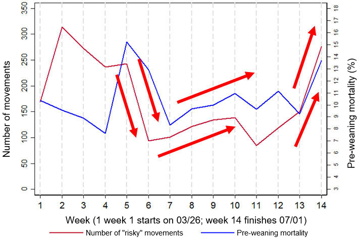 Figure 2. Graph showing crude associations between pre-weaning mortality and number of ‘risky’ movements (defined as movements to/ from loading docks and/ or nurseries). This data was a subset of ~ 14 weeks for one of the farms (farm 3).