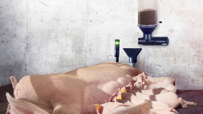 Nedap Farrowing Feeding with the optional Nedap Activator add-on&nbsp; can reduce feed waste and boost overall intake, resulting in a 50% reduction in farrowing pen mortality and heavier piglet weaning weights.
