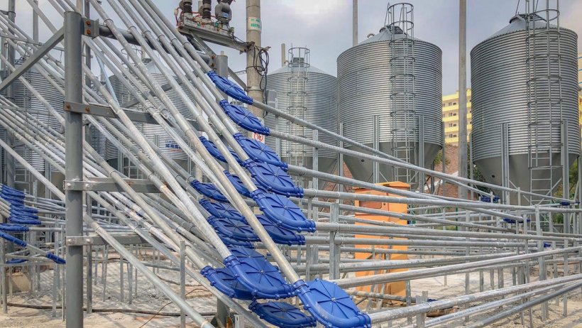 Photo 7: Multiple chain system for the distribution of feed and its elevation to the different floors. Source: Marcio Schmidt.
