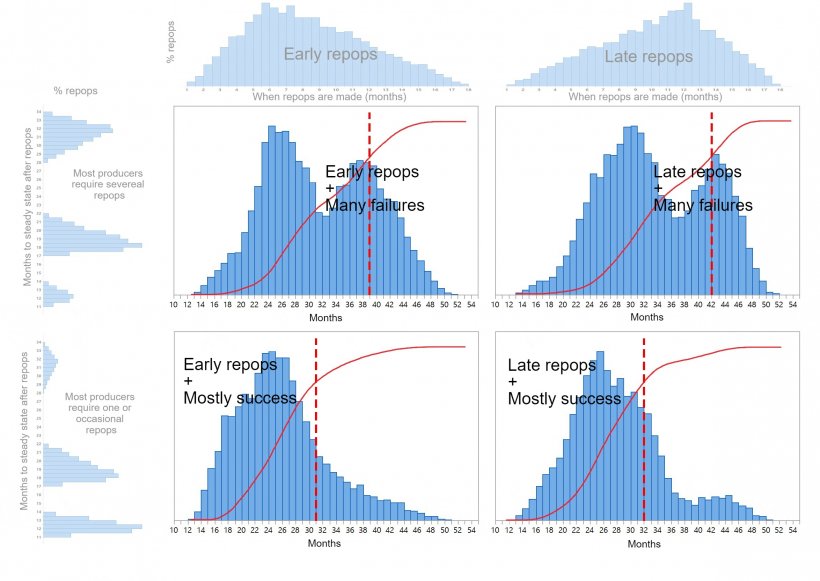 Graphic 1. Four different patterns of pig repopulation are described depending when the repopulation decisions are made (early/late - top of the graph) and the time needed to restore the full production (one/occasional or several attempts - left of the graph). Recovery time cumulative distributions are shown in red and the dotted red lines show&nbsp;the number of months needed until 80% of repopulation&nbsp;is achieved.
