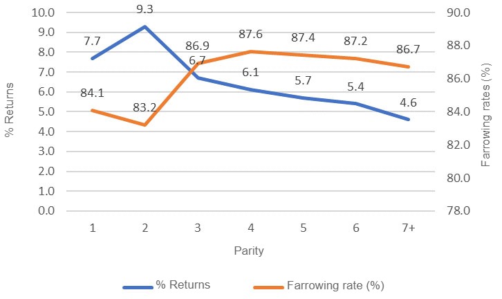 Graphic 1: Farrowing rate&nbsp;and&nbsp;% returns, first services,&nbsp;year 2018 (689,024 services),&nbsp;PigCHAMP Pro Europa database (301,250 females).
