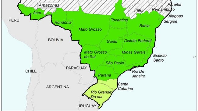 Situation of CSF in Brazil