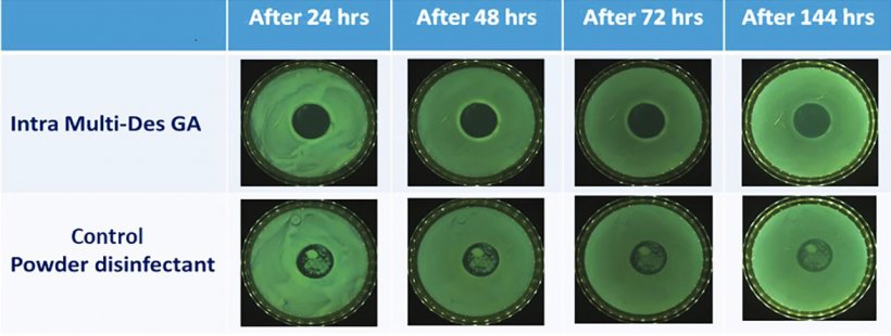 Figure 3. Bacterial culture plates covered with Pseudomonas aeruginosa after stamp test clearly showing the strong residual activity of Intra Multi-Des GA in time.
