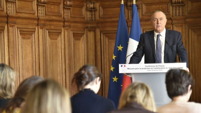 Animal welfare: pigs