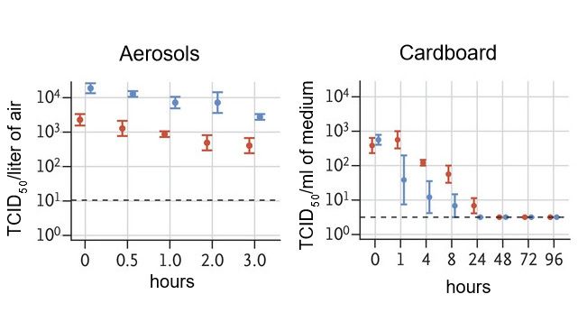 The titer of aerosolized viable virus is expressed in 50% tissue-culture infectious dose (TCID50) per liter of air. Viruses were applied to copper, cardboard, stainless steel, and plastic maintained at 21 to 23&deg;C and 40% relative humidity over 7 days. The titer of viable virus is expressed as TCID50 per milliliter of collection medium. All samples were quantified by end-point titration on Vero E6 cells. Plots show the means and standard errors ( bars) across three replicates.
