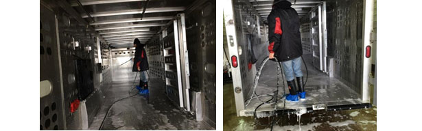 Image 4. Detergent application according to the product&rsquo;s chemical components and formulation. Courtesy of Dr Clayton Johnson, Carthage Veterinary Services.
