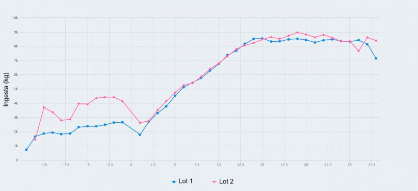 Figure&nbsp;1. Feed consumption from day 107 of gestation to weaning (day 28 of lactation) of sows fed a maximum of 2.8 kg/day (Lot 1) and 4.2 kg/day (Lot 2) of feed during the days prior to farrowing.
