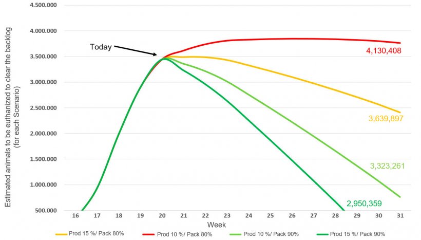 Figure 2. &nbsp;Flattening the euthanasia curve: Cummulative backlog of US barrows and gilts under four scenarios until the end of July. Source data: USDA NASS Slaughter Survey and AMS LM_HG201
