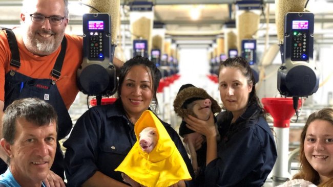 Photo 2. Team working together.