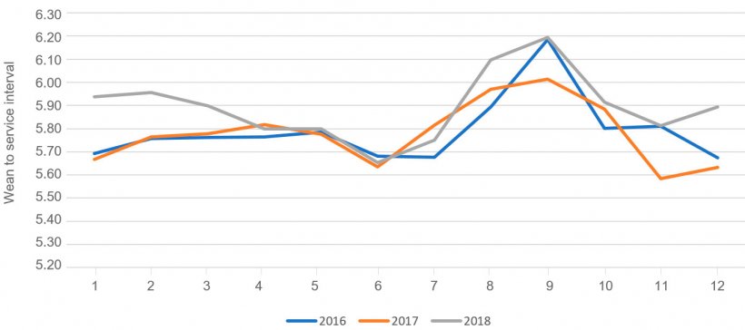 Figura 1. Intervalo destete cubrición en función del mes del año. Fuente: PigChamp Pro Europa