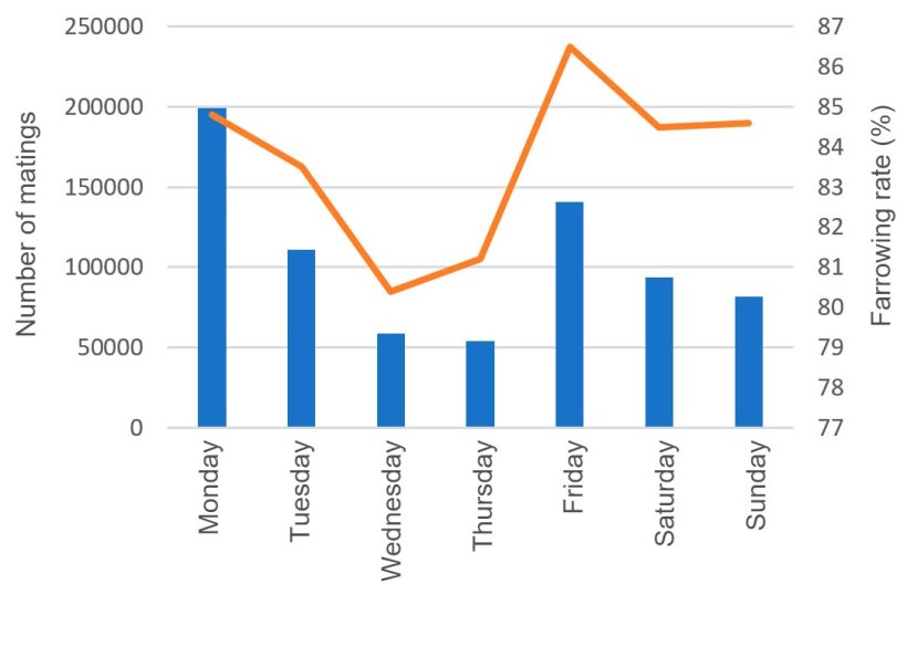 Graph 8. Matings and their respective farrowing rates according to the day of the week.
