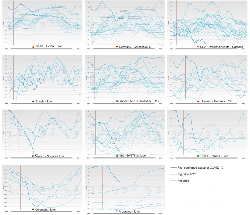 Figure 2. Annual evolution of pig price by country (blue), the thick line represents the price in 2020. The red indicates the date on which the first COVID-19 case was confirmed.
