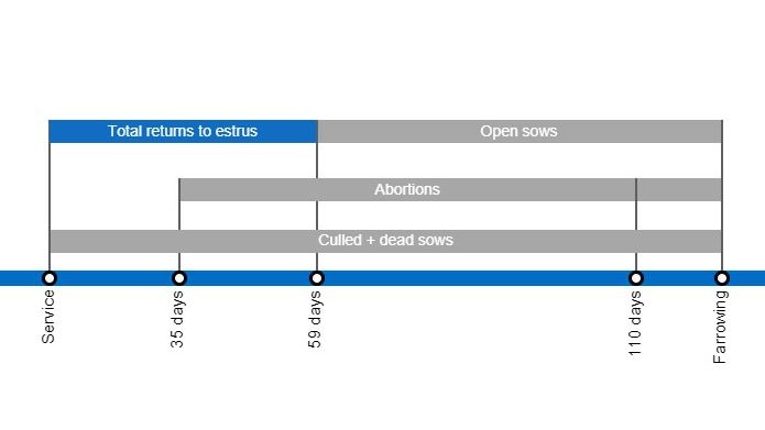 Types of gestation losses that can lower the farrowing rate, detailing the different types of returns to estrus based on they occur.