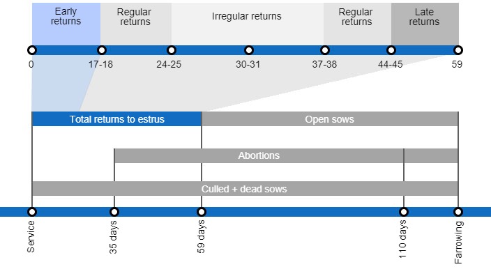 Types of gestation losses that can lower the farrowing rate, detailing the different types of returns to estrus based on they occur.