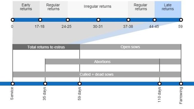 Types of gestation losses that can lower the farrowing rate, detailing the different types of returns to estrus based on they occur.