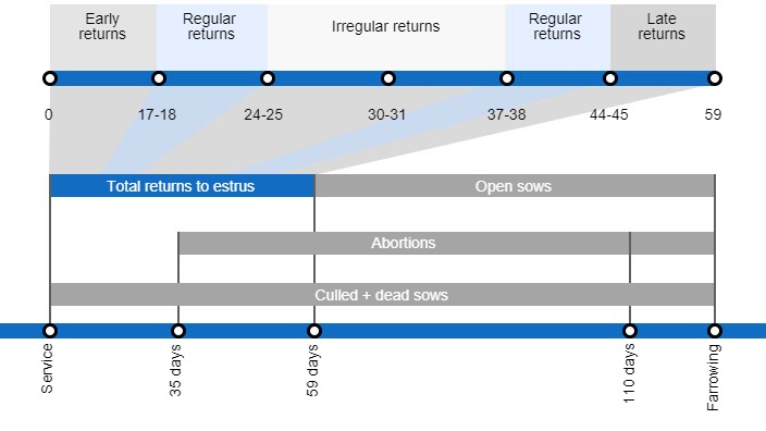 Types of gestation losses that can lower the farrowing rate, detailing the different types of returns to estrus based on they occur.