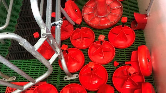 Photo 1. When cleaning the farrowing room, do not forget about equipment such as piglet feeders, lights, and other materials that are transferred between rooms.