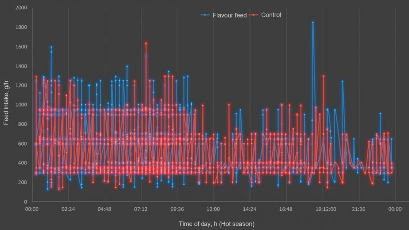 Figure 3. Effect of feed flavour and time of day on the daily feed intake in lactating sows during hot season.
