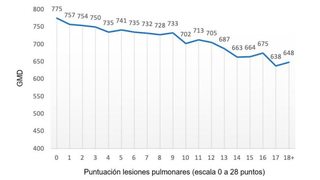 Figure 2: ADG value (grams) in relation to the lung score (scale of 0 to 28 points). Adapted by Pagot et al. (2007).