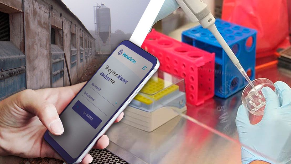 Image 2. Illustration of Dr. Nauwynck&rsquo;s future diagnostic platform.
